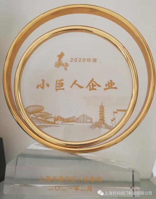 凱科閥門入選2020年度嘉定區(qū)小巨人計(jì)劃獎(jiǎng)勵(lì)企業(yè)名單 凱科閥門入選2020年度嘉定區(qū)小巨人計(jì)劃獎(jiǎng)勵(lì)企業(yè)名單